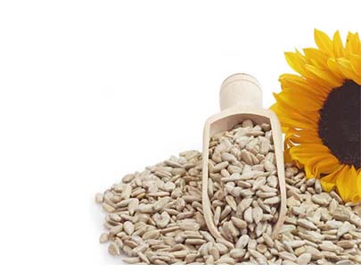 Buy Sunflower Seeds Online at Best Price title=