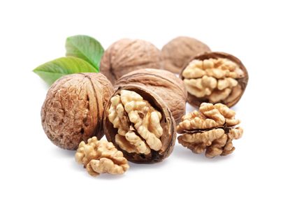 Prices for Walnut Kernel
